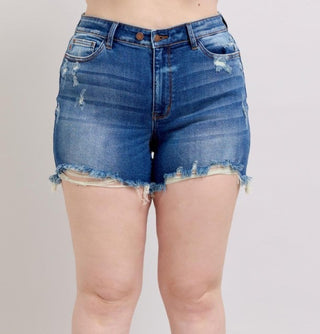 Judy Blue Medium Wash Two Button Distressed Dad Shorts