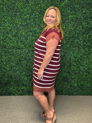 Chestnut Multi Stripes Dress