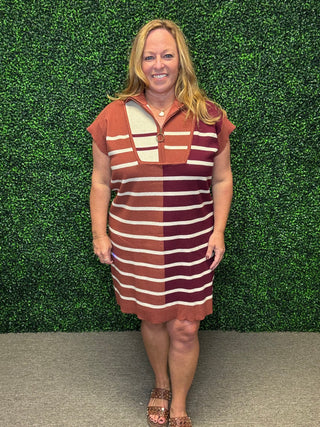 Chestnut Multi Stripes Dress