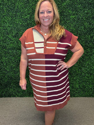 Chestnut Multi Stripes Dress