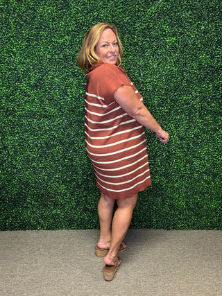 Chestnut Multi Stripes Dress